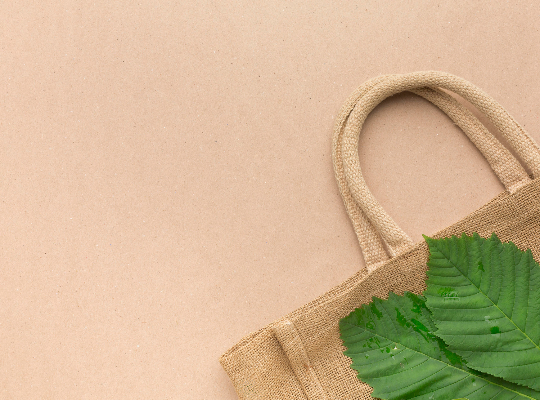 Ekologická  taška s listom na pozadí, symbol rozšírenia sortimentu