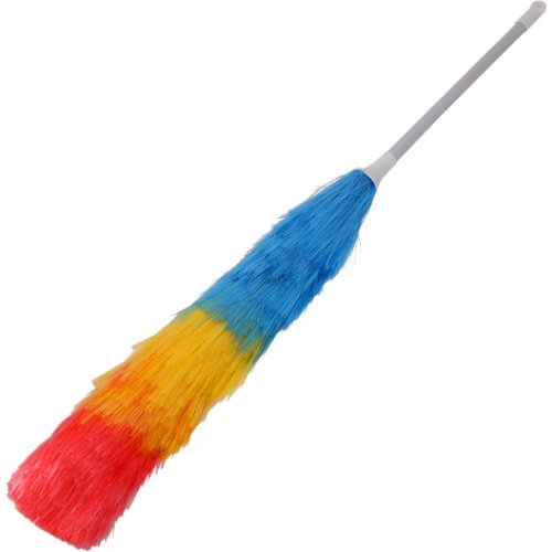 Oprašovak obyčajný Antistatic